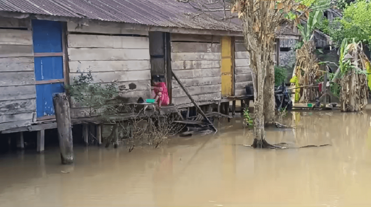 Banjir Terus Meluas Merendam 9 RT di Desa Muaro Jambi