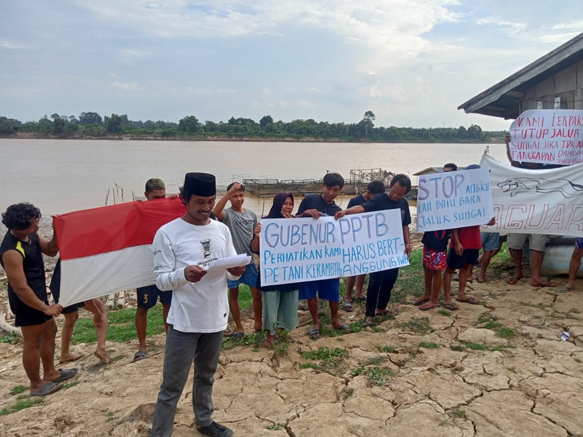 Kapal Tongkang Batu Bara Buat Ikan Stres, Petani Kerambah di Danau Teluk Minta Gubernur Hentikan Jalur Sungai