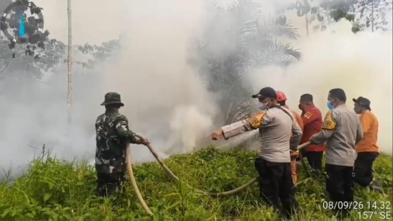 7 Hektare Lahan Perkebunan Sawit dan Jabon di Batang Hari Terbakar