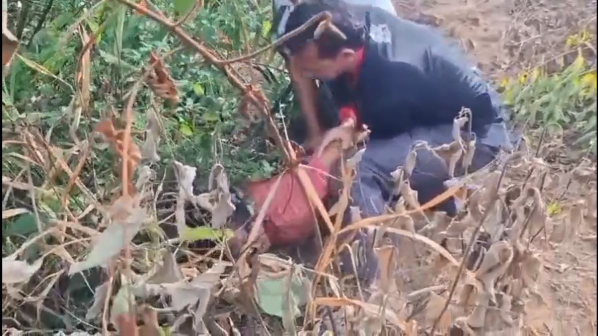 Penggerebekan di Tengah Kebun Sawit, Tiga Pengedar Sabu Dibekuk Polis