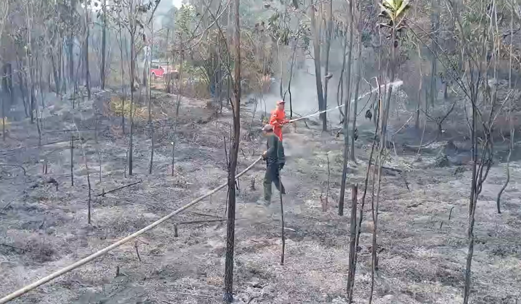 Polisi Selidiki Lima Kasus Kebakaran Hutan dan Lahan di Batanghari