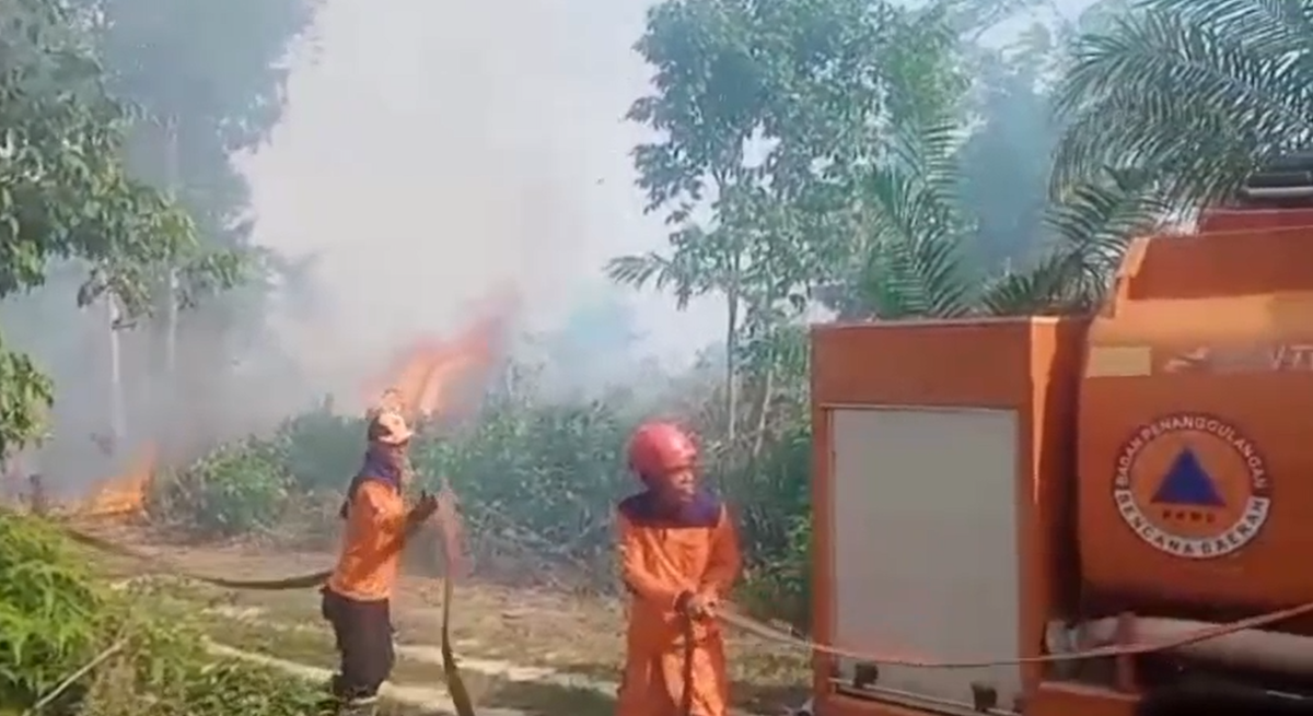 2 Hektar Lahan Sawit Di Desa Tambun Narang Terbakar