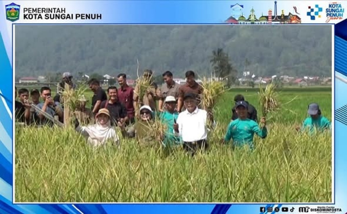 Wawako Azhar Hamzah Hadiri Tanam Perdana Padi Teknologi PM AAS di Sungai Penuh