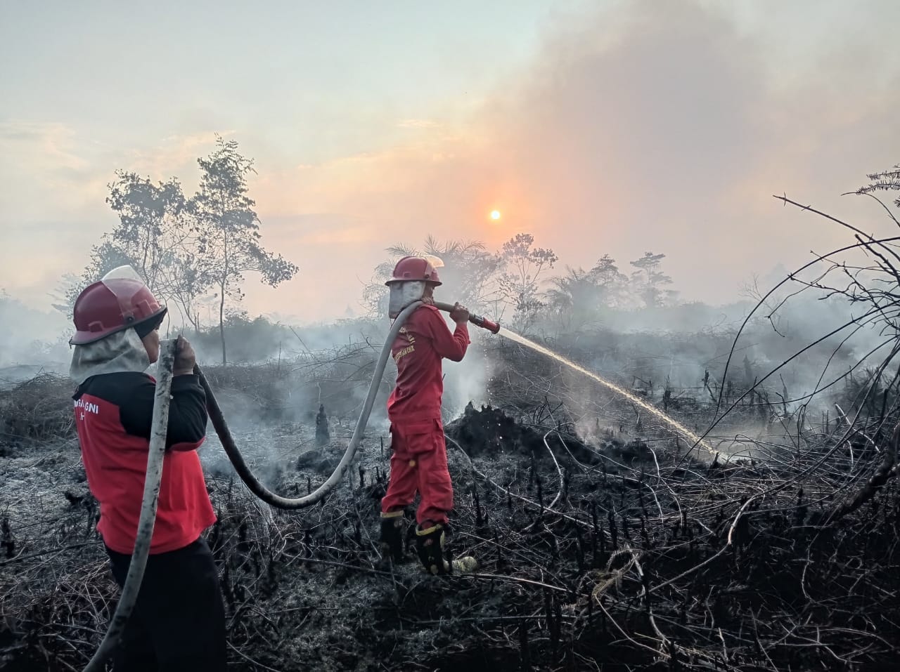 Puluhan Hektar Lahan Terbakar di Kecamatan Air Hitam Sarolangun, Sudah 3 Hari Berjibaku Padamkan Api