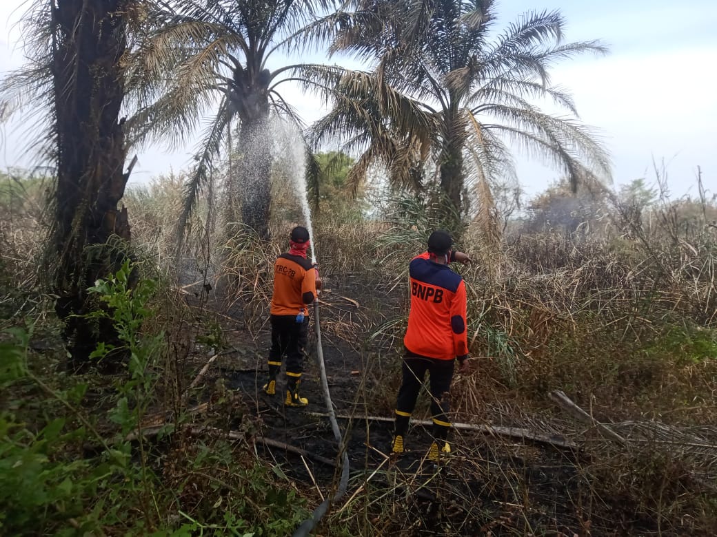 6 Hektar Lahan di Pudak Terbakar, Api Berhasil Dipadamkan Dalam Waktu 3 Jam