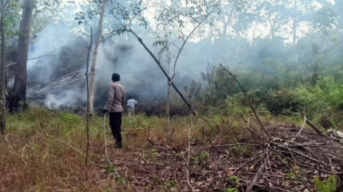 Polisi Tetapkan Tiga Tersangka Pembakaran Lahan di Kabupaten Batanghari