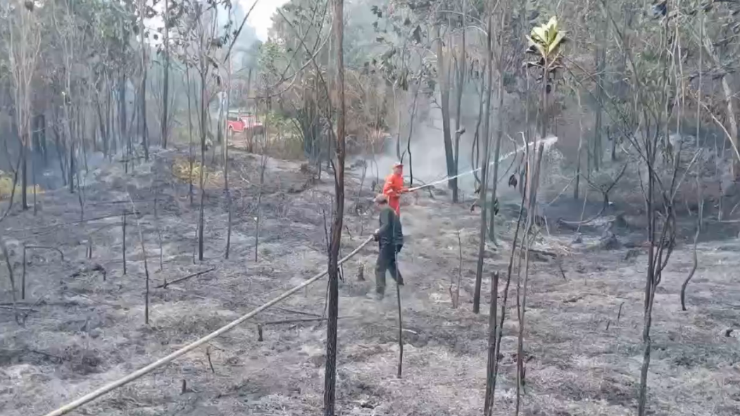 Karhutla di Batanghari Terluas Se-Provinsi Jambi