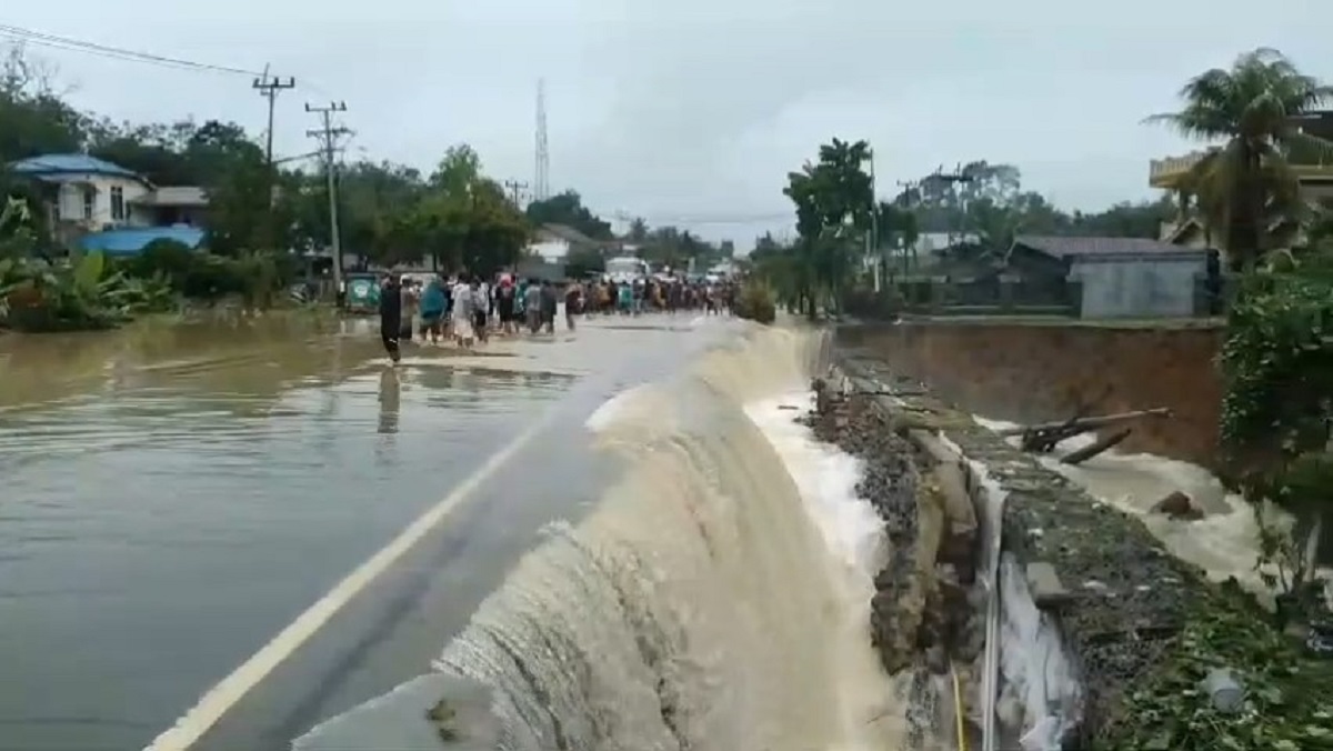 Cuaca Ekstrem di Bungo Sebabkan Jalan Nasional Terendam dan Tertutup Pohon Tumbang