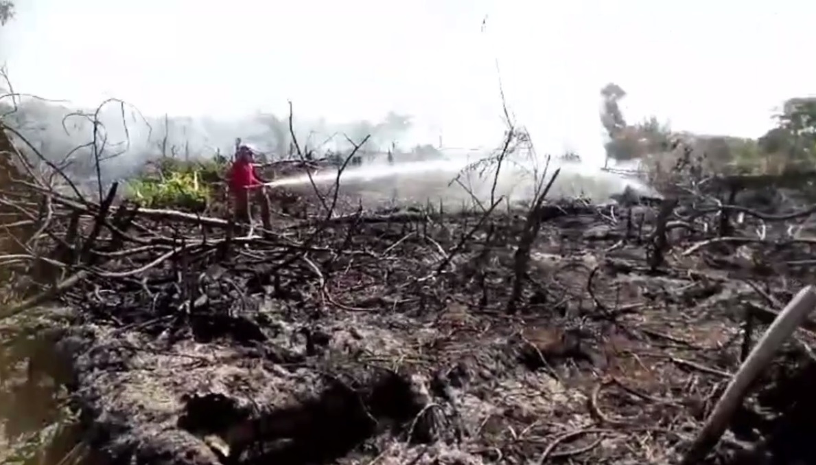 Dalam Sehari, 13 Hotspot Ditemukan di Kabupaten Sarolangun