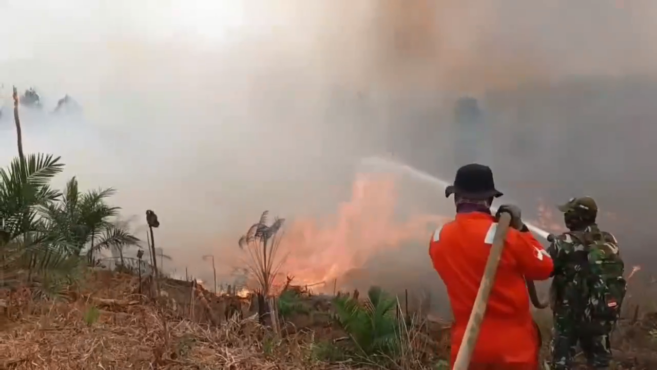 Karhutla di Batang Hari Hanguskan 1.497 Hektare Hutan dan Lahan