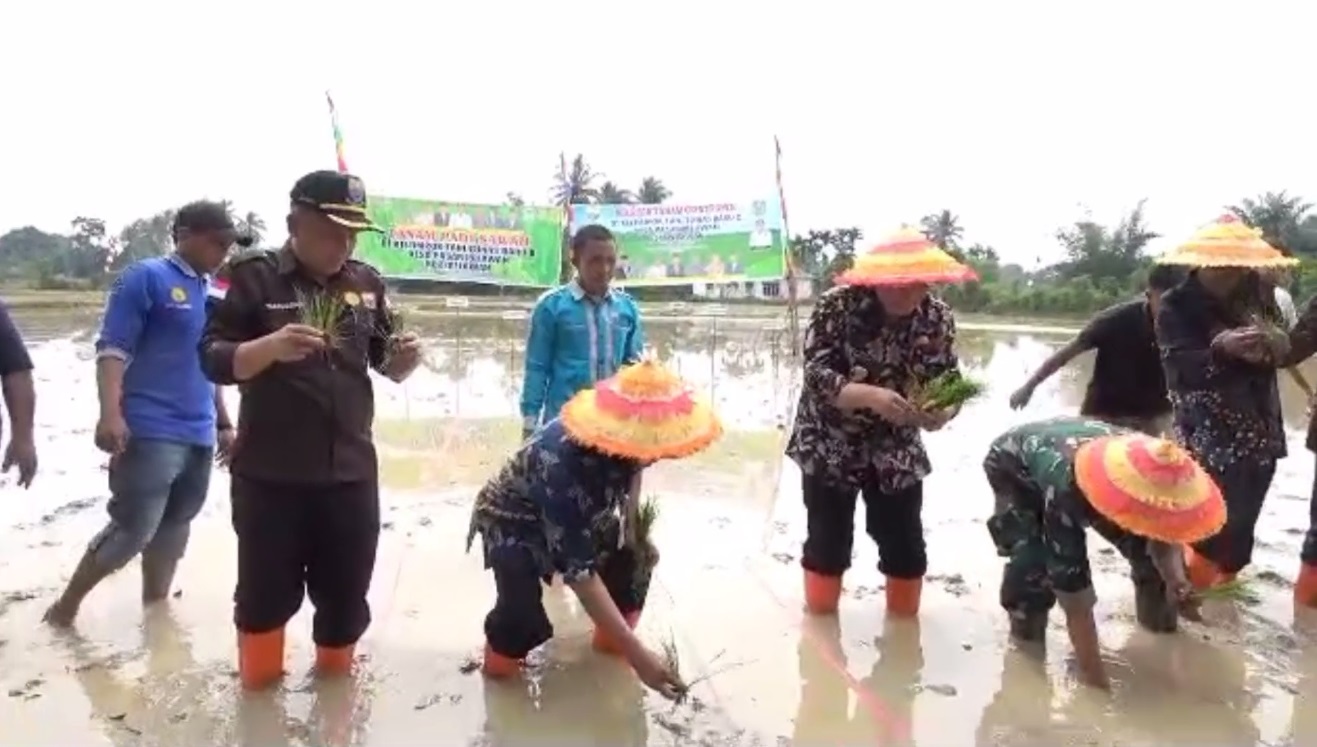 Wagub Abdullah Sani Tanam Padi Bersama Kelompok Tani Desa Pasar Pelawan