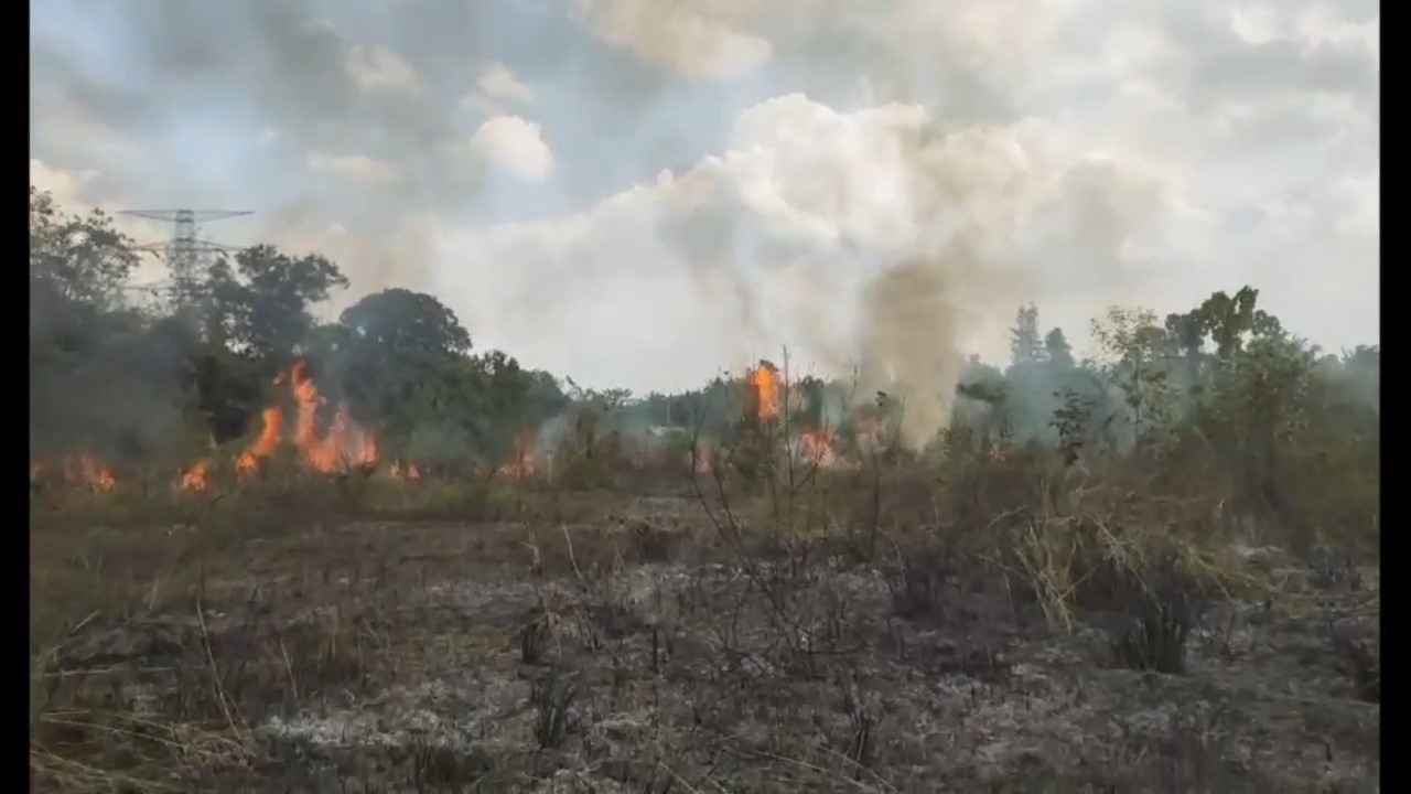 Lahan Kosong Seluas 1 Hektar Terbakar di Desa Bukit Baling