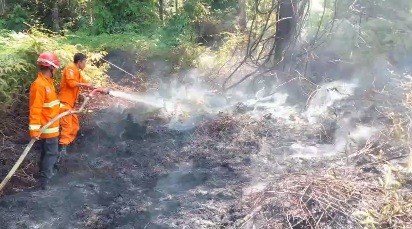 Kebakaran di Batanghari, Lahan Perkebunan Milik Warga di Bajubang Terbakar