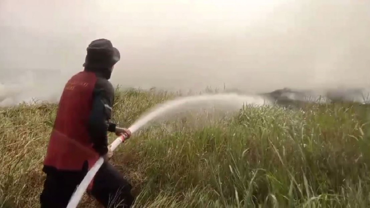 Kebakaran Di Tanjab Barat Hanguskan 5 Hektare Lahan, Api Belum Dapat Dipadamkan