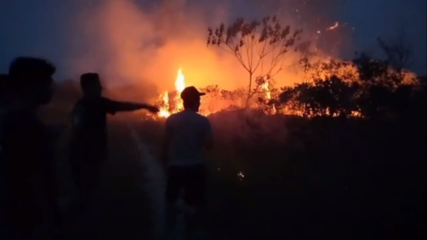 Hingga Agustus, 77 Hektar Lahan di Kabupaten Batanghari Hangus Terbakar