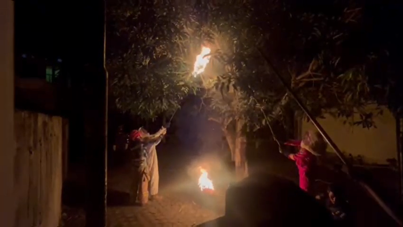 Tim Rescue Damkarmat Batang Hari Musnahkan Sarang Lebah Dekat SDN 13 Muara Bulian