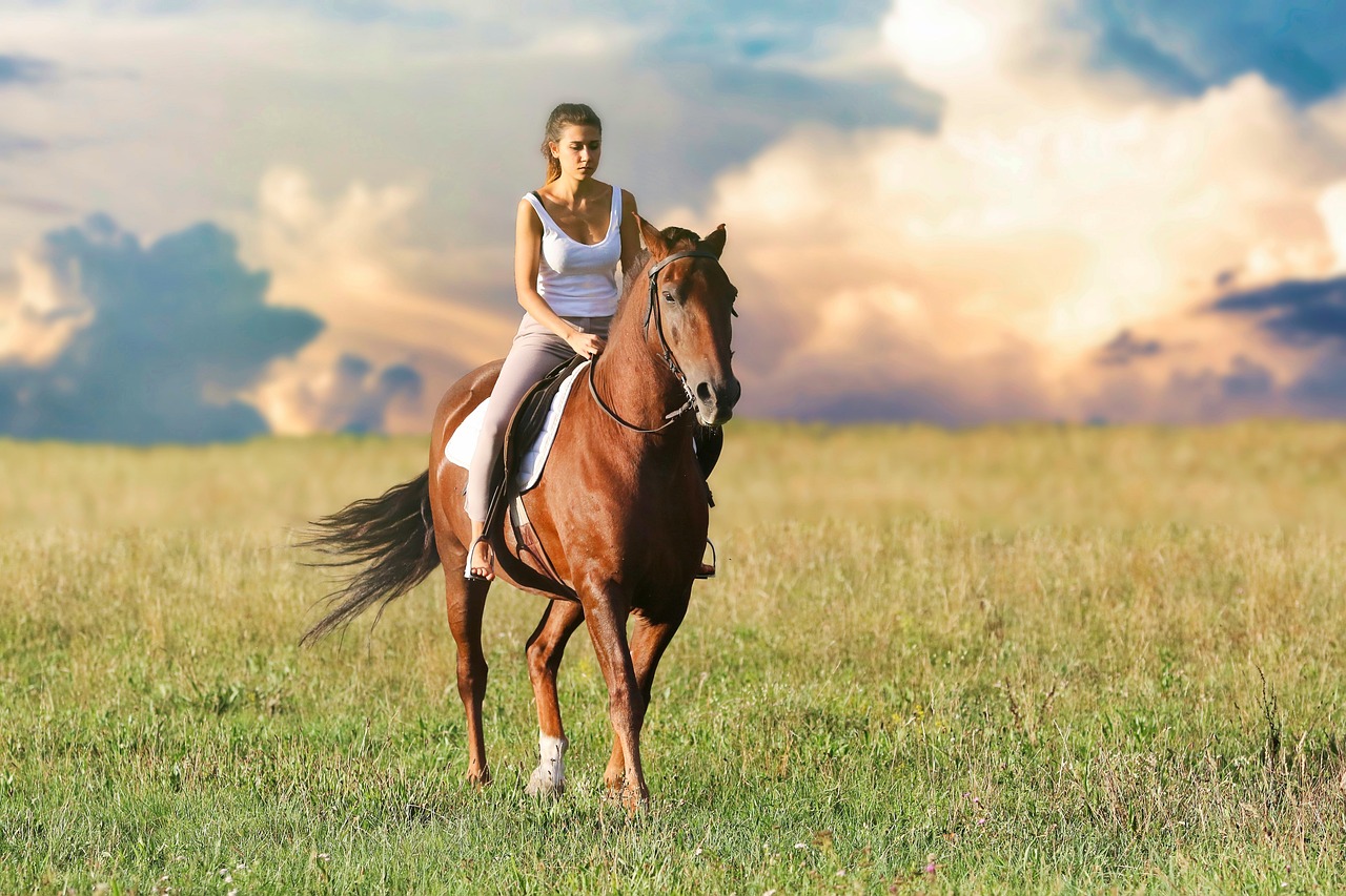 5 Tips Belajar Olahraga Berkuda Untuk Pemula, Harus Berani dan Tenang