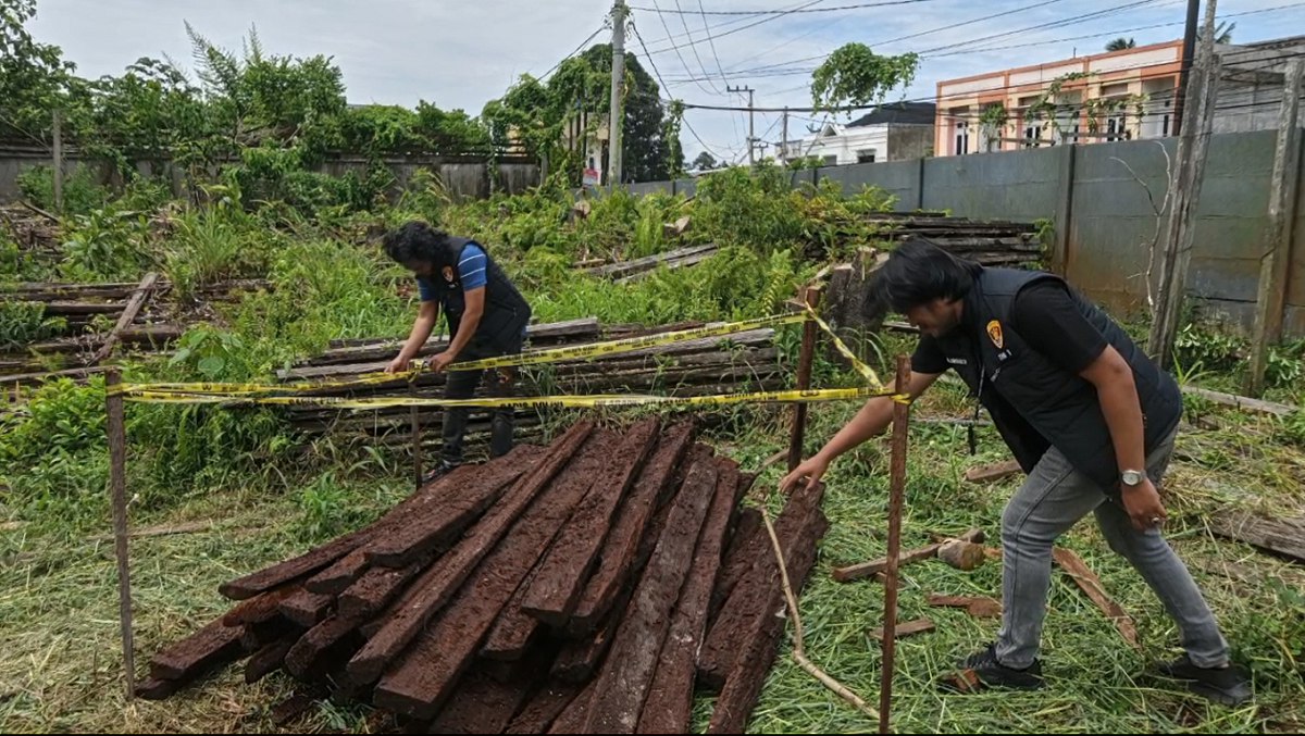 ?Pencurian Kayu Bulian, ?Pelaku Tertangkap Basah Saat Mencuri 