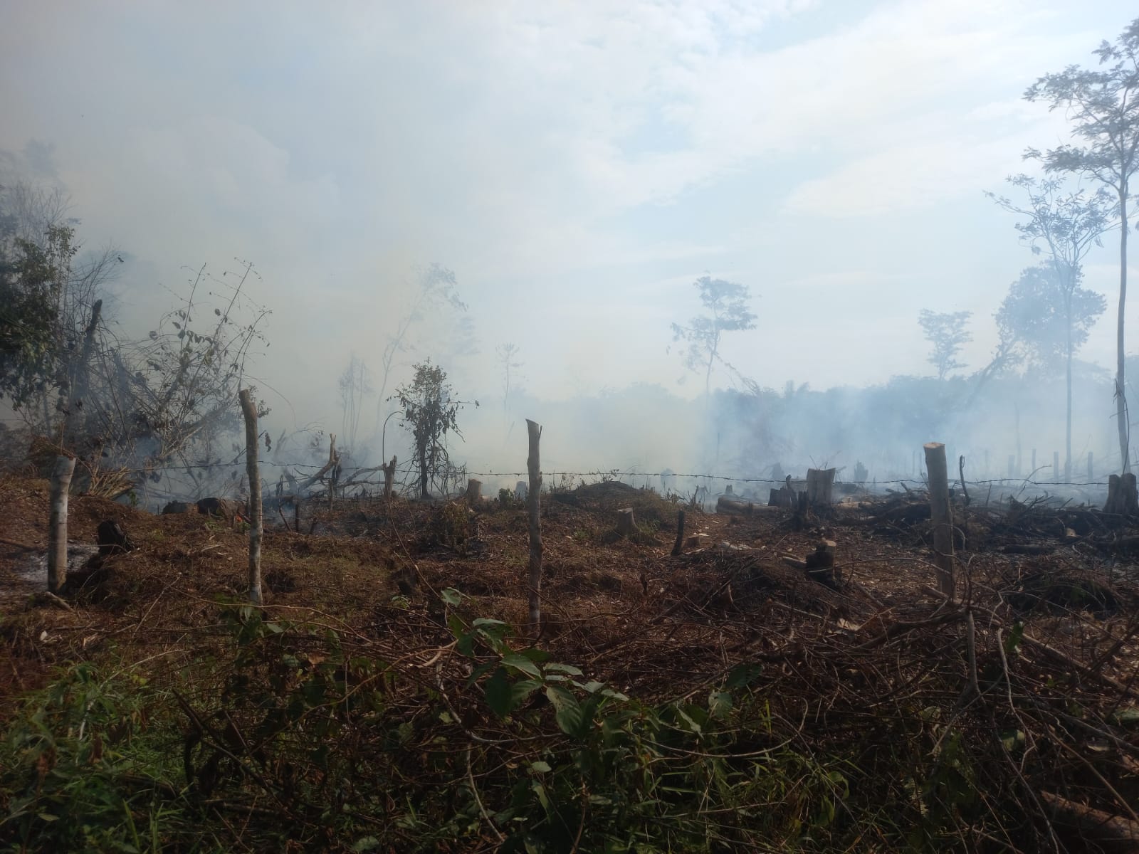 Lahan Seluas 1 Hektar Dekat Pemukiman Warga Terbakar