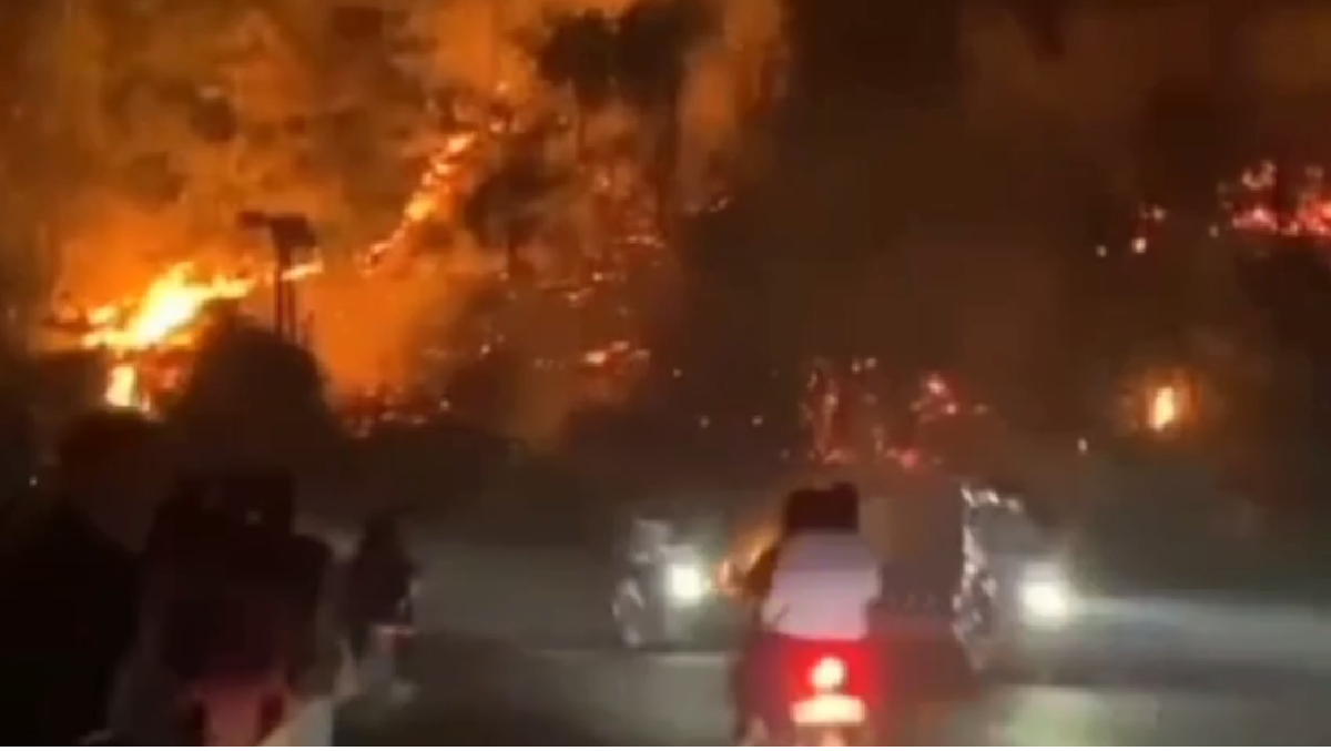 Kebakaran Lahan Kosong di Mestong Bikin Panik Pengguna Jalan