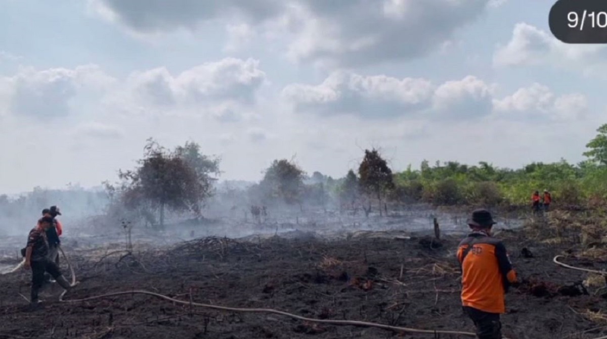 Hingga Hari Ke-3, Karhutla Di Sungai Gelam Semakin Meluas Hingga Ratusan Hektare