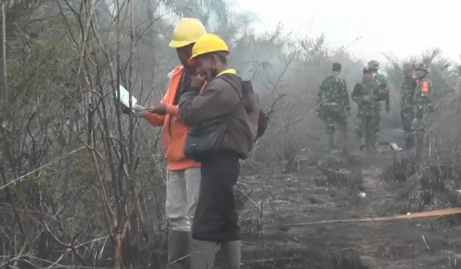 Karena Ulah Tangan Manusia, Seluas 325 Hektare Lahan di Jambi Sudah Terbakar 