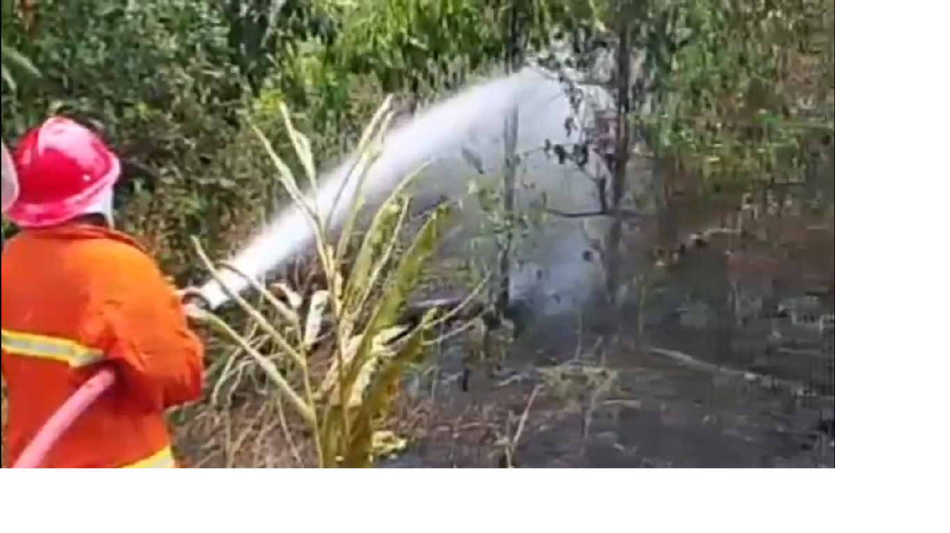 Lahan Warga di Bukit Baling Terbakar, 4.000 Liter Air Dikerahkan untuk Padamkan Api