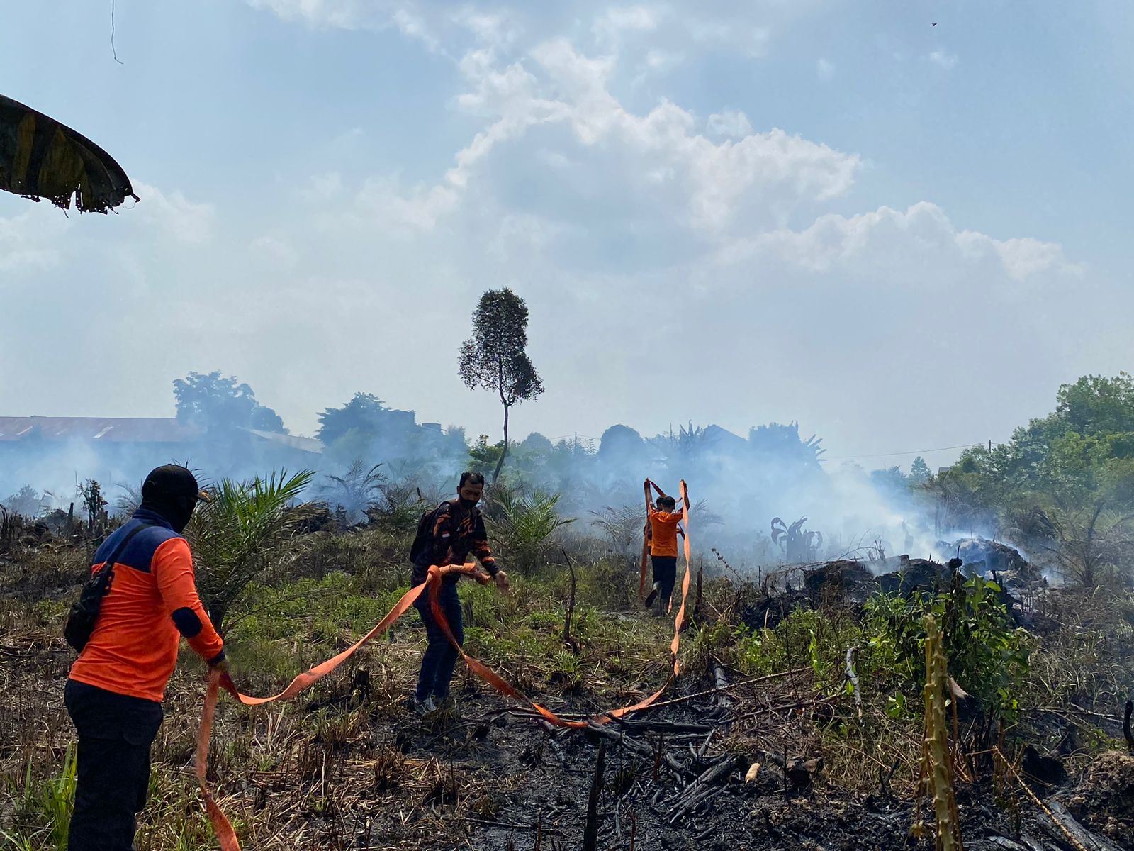 Lahan Mineral Seluas 700 Meter Milik Masyarakat di Pijoan Terbakar