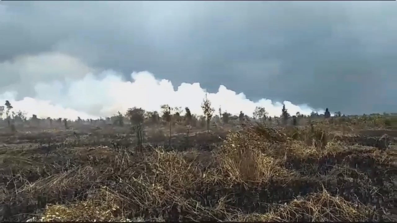 Kebakaran Lahan di Londerang Ternyata Hanguskan 100 Hektar