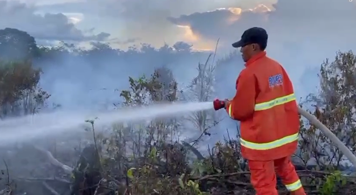 Setengah Hektar Sawit di Bungkal Dilahap Si Jago Merah