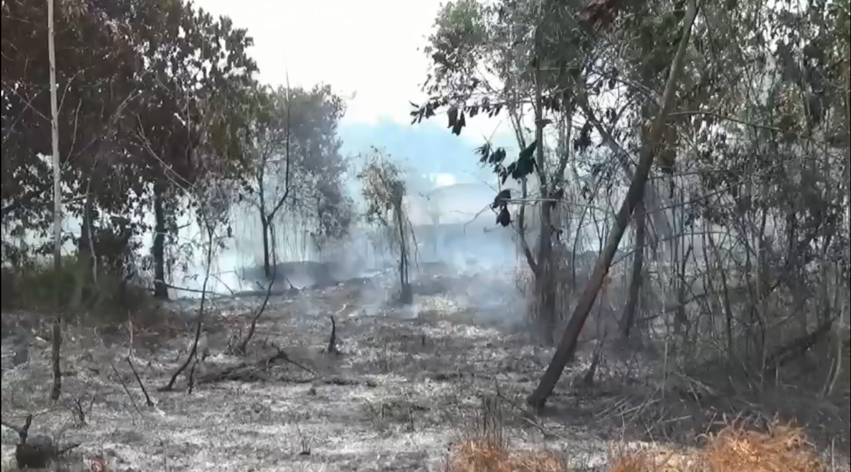 Ancaman Karhutla Mengintai, 195 Titik Panas Terdeteksi di Provinsi Jambi