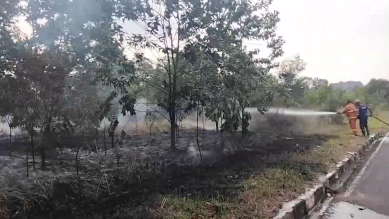 Lahan Eks Arena MTQ Muara Bulian Terbakar, Diduga Dipicu Pembakaran Sampah