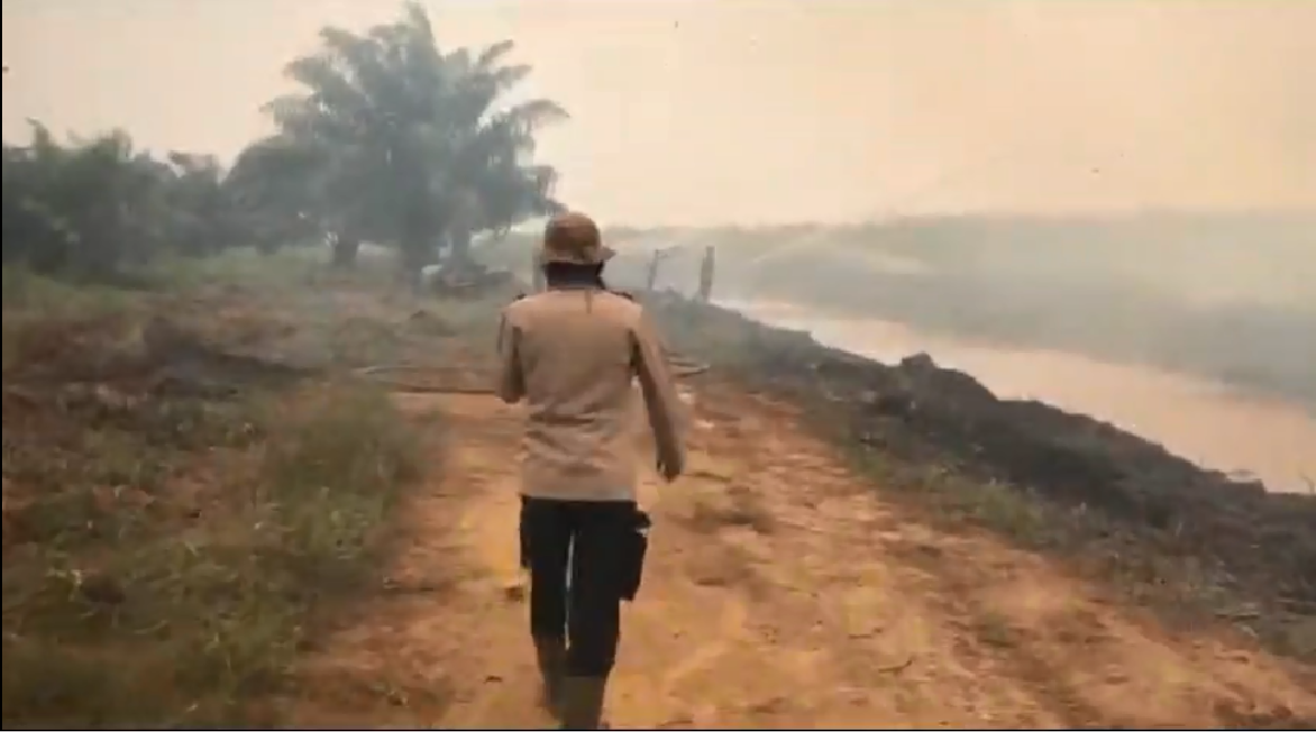 Karhutla Landa Kawasan Tahura Muaro Jambi, Tim Gabungan Berjuang Padamkan Api
