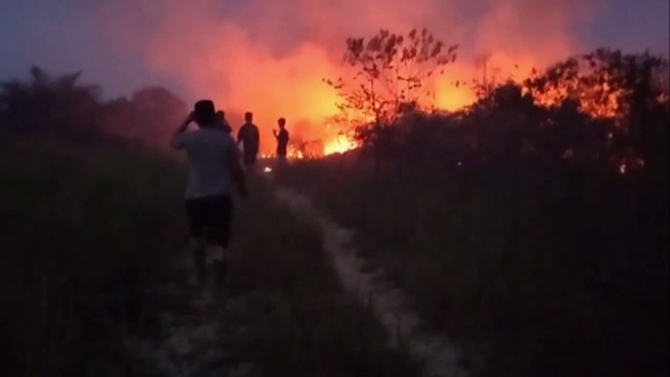 Karhutla di Batanghari Meluas, 93,6 Hektar Lahan Sudah Hangus Terbakar