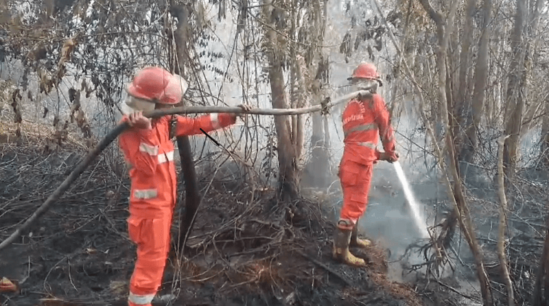 Dalam 2 Bulan, Ratusan Hotspot Terpantau di Kabupaen Bungo dan Tebo