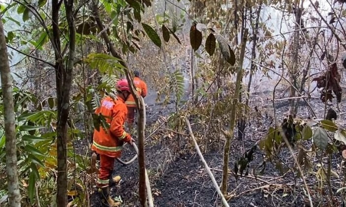 Karhutla di Batang Hari Meluas, 263,4 Hektare Hutan dan Lahan Terbakar