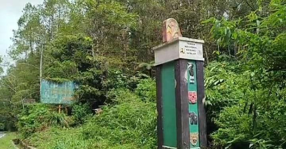 BBTNKS Imbau Warga Tak Buka Lahan di Kawasan TN Kerinci Seblat 