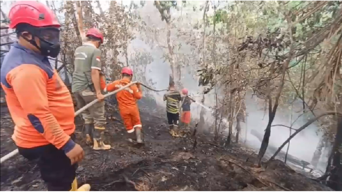 Karhutla di Bajubang, Tiga Hektare Kebun Sawit Warga Batang Hari Ludes Terbakar