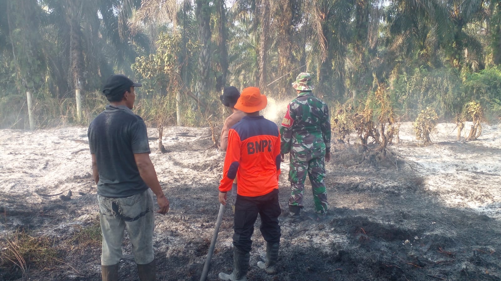 Karhutla Mengintai Tanjabtimur, 23 Kasus Hanguskan 32,2 Hektare Lahan