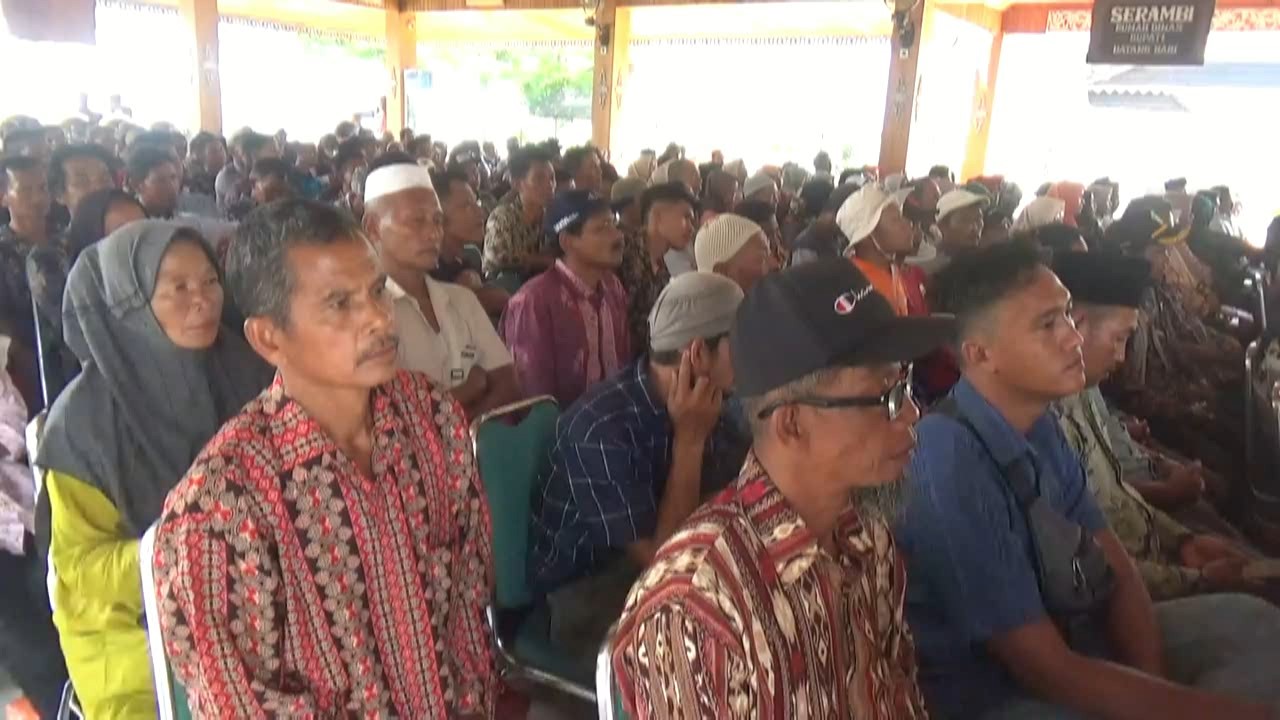 Pak Tani Batanghari Dapat Bantuan Pupuk 300 Ton Dari Pemerintah Pusat, Awas Jangan di Korupsi ya !!!