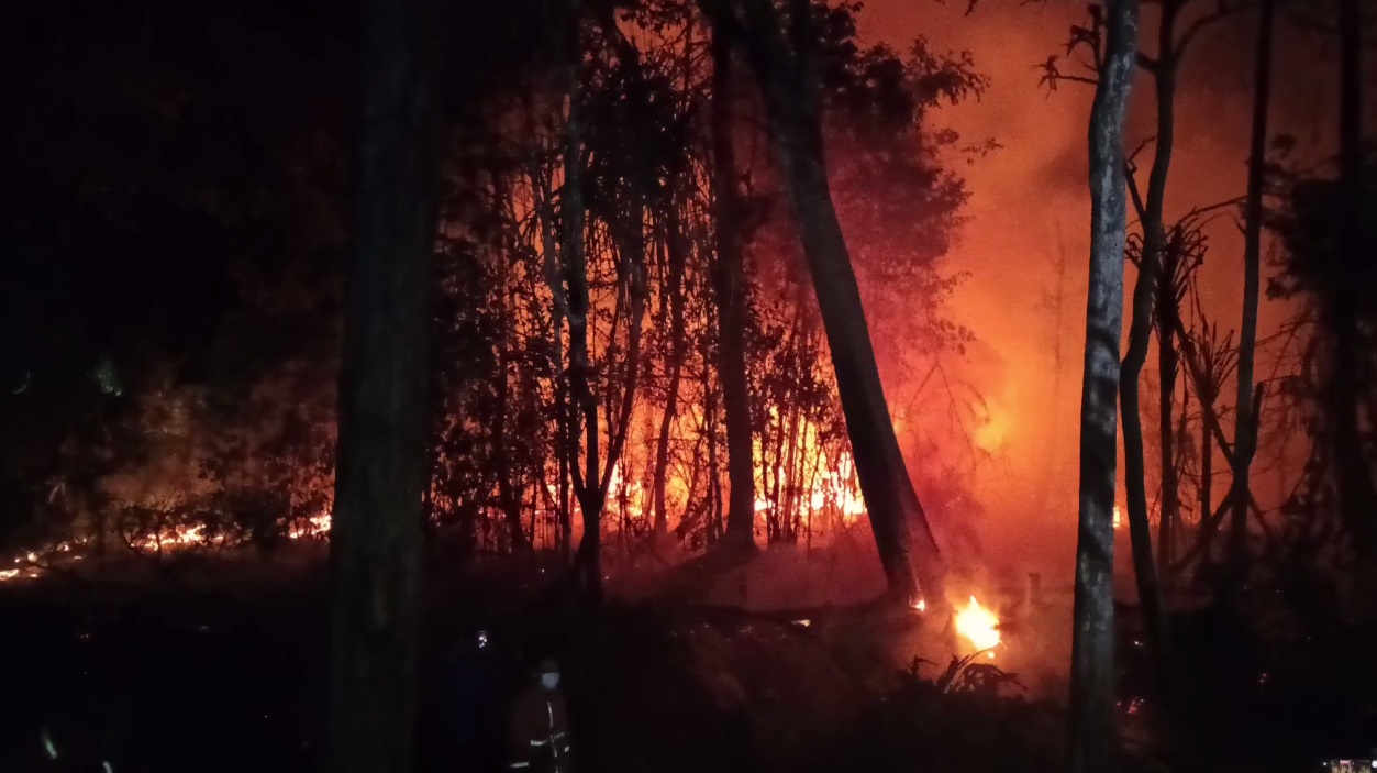 6,5 Hektar Lahan di Muara Bulian Ditemukan Terbakar, Pemadaman Api Hingga Pukul 3 Dini Hari