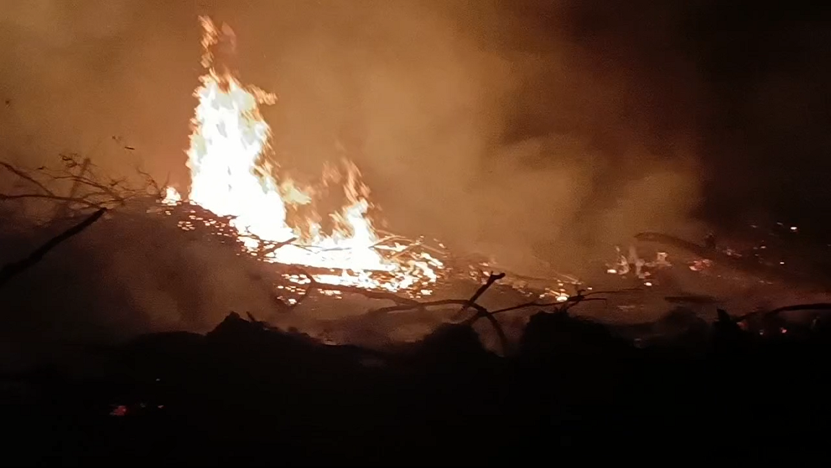 Kebakaran Hebat di Sarolangun Habiskan Dua Hektar Lahan Warga