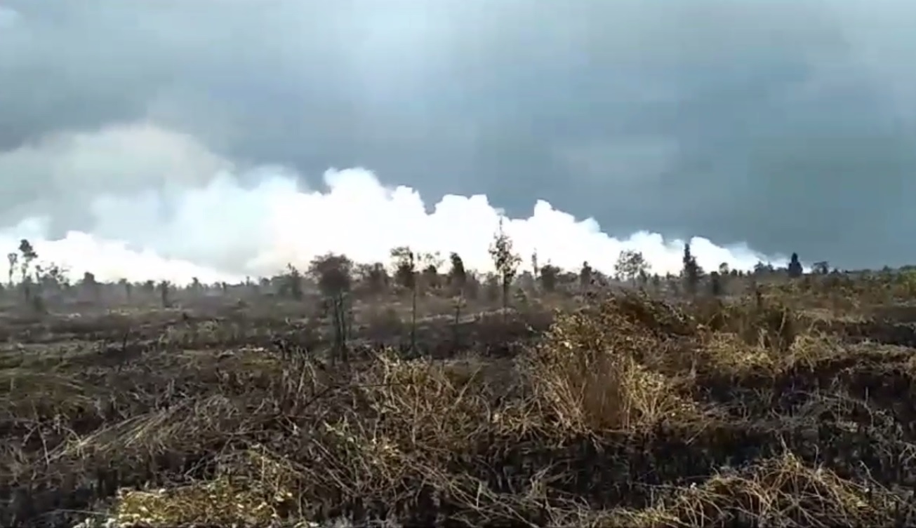 5 Hektare Lahan Gambut di Londerang Terbakar, Butuh Waktu 3 Hari Padamkan Api 