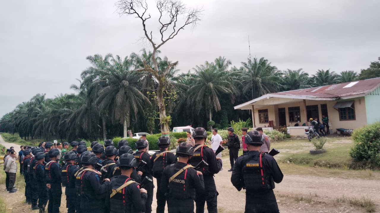 Ini Pemicu Awal Bentrok Warga SAD dan pihak Keamanan PT SAL 