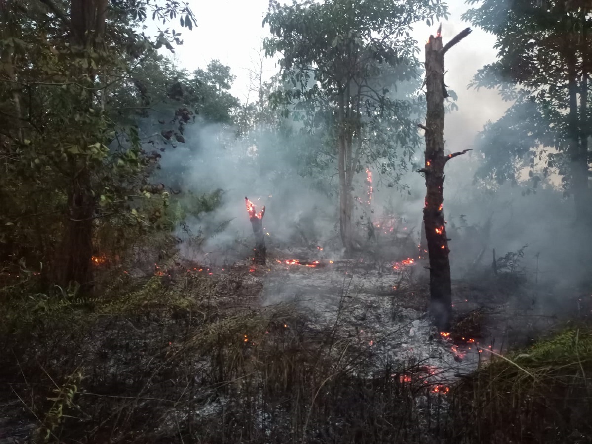 Kebakaran Lahan Terjadi di Belakang Kampus UIN STS Jambi, 4.000 Liter Air Dihabiskan