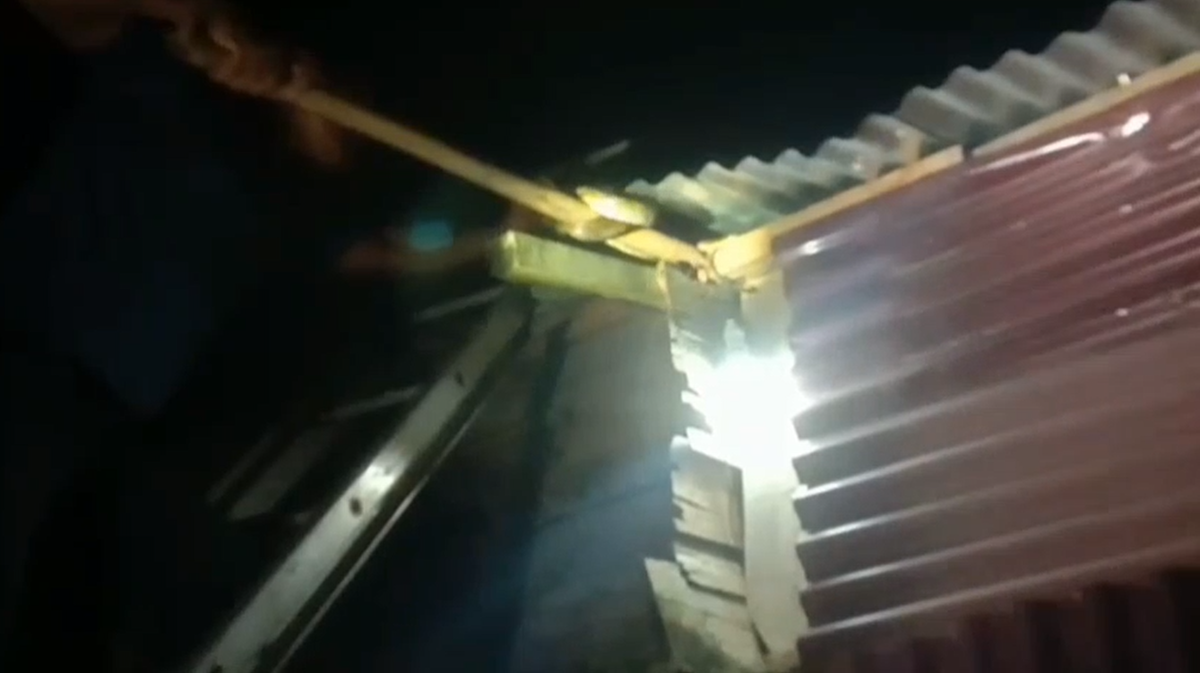 Ular Sanca Mengancam Keluarga di Rimbo Bujang, Damkar Tebo Lakukan Penyelamatan 