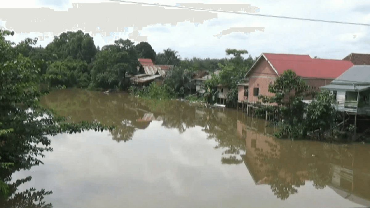 Waspada! 3 Titik Aliran Sungai Batanghari Dinyatakan Sudah Tercemar