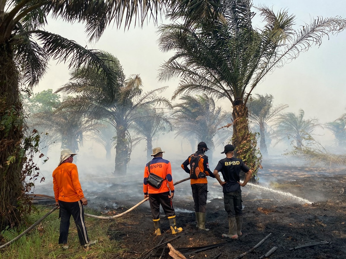 Diterjang Api dari Tanjabtim, 30 Hektare Lahan di Sungai Aur Muaro Jambi Terbakar