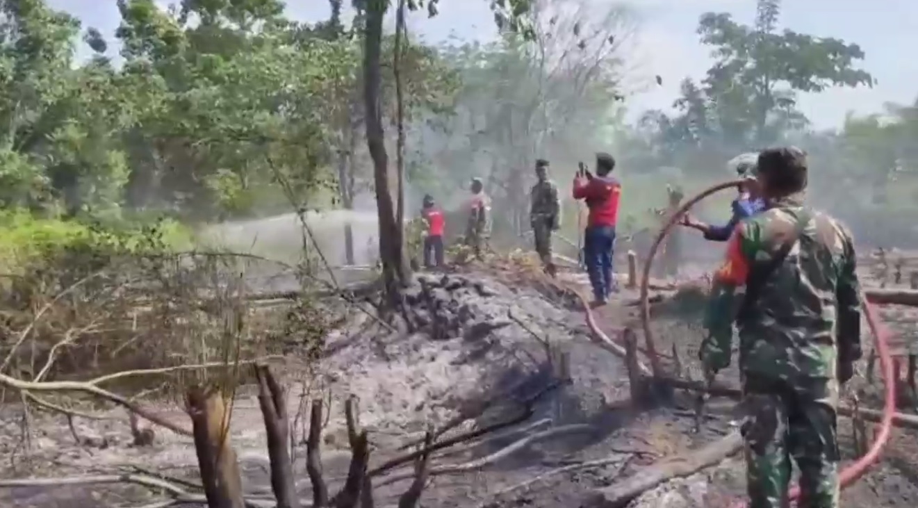 Lahan Kosong di Desa Pelawan Terbakar, Api Berasal Dari Tumpukan Batubara