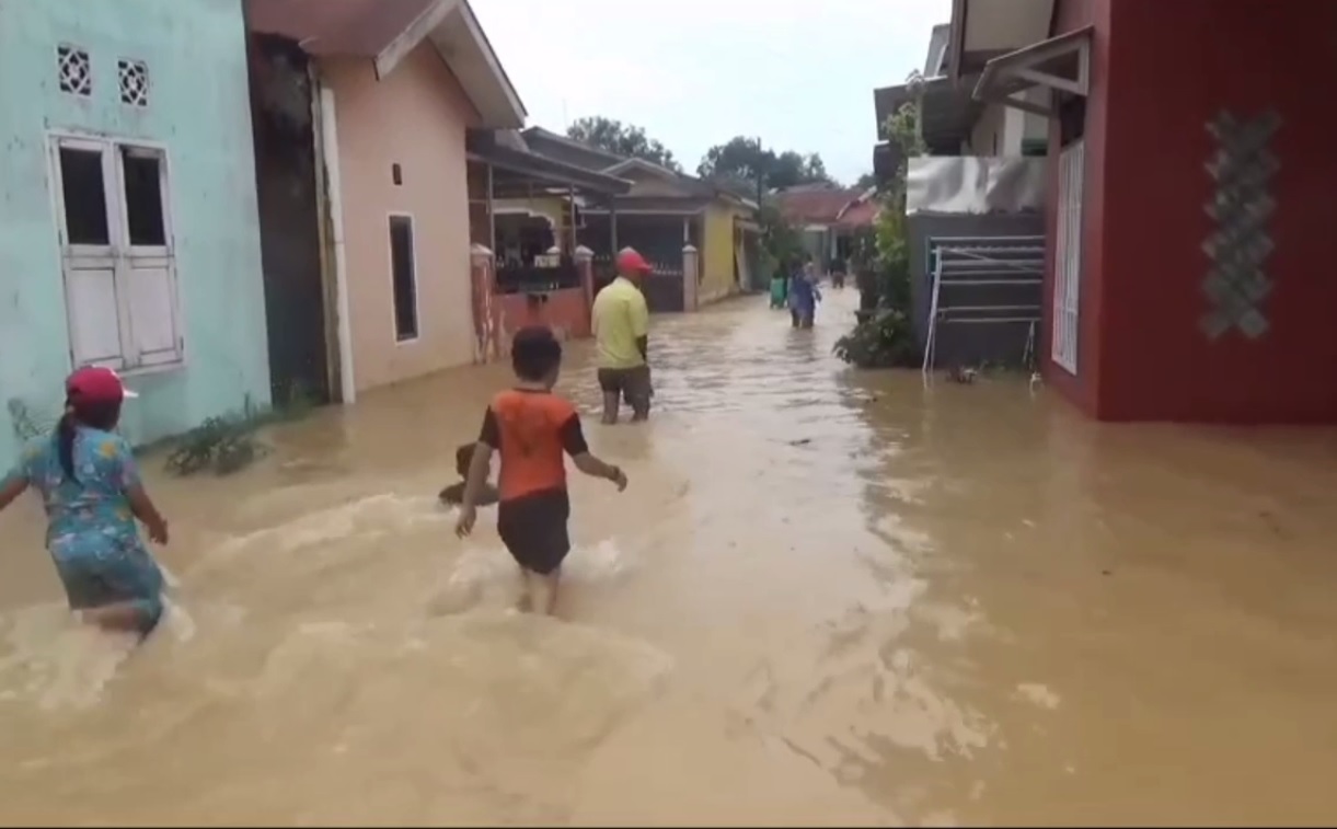  Ratusan Rumah Warga Desa Mendalo Darat Terendam Banjir